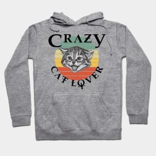 Crazy cat lover Hoodie